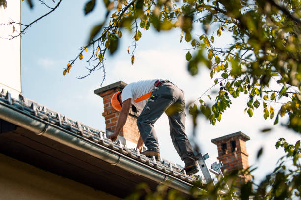 Best Roofing for New Construction  in Roanoke, IL