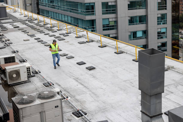 Best Roof Waterproofing  in Roanoke, IL
