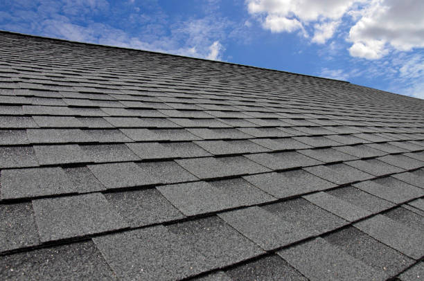 Roof Coating Services in Roanoke, IL